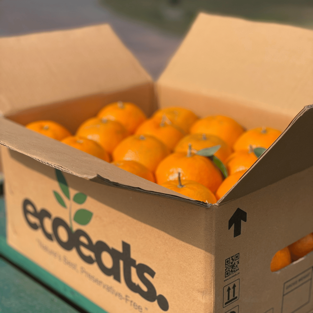 Export Quality Kinnow | Mandarin