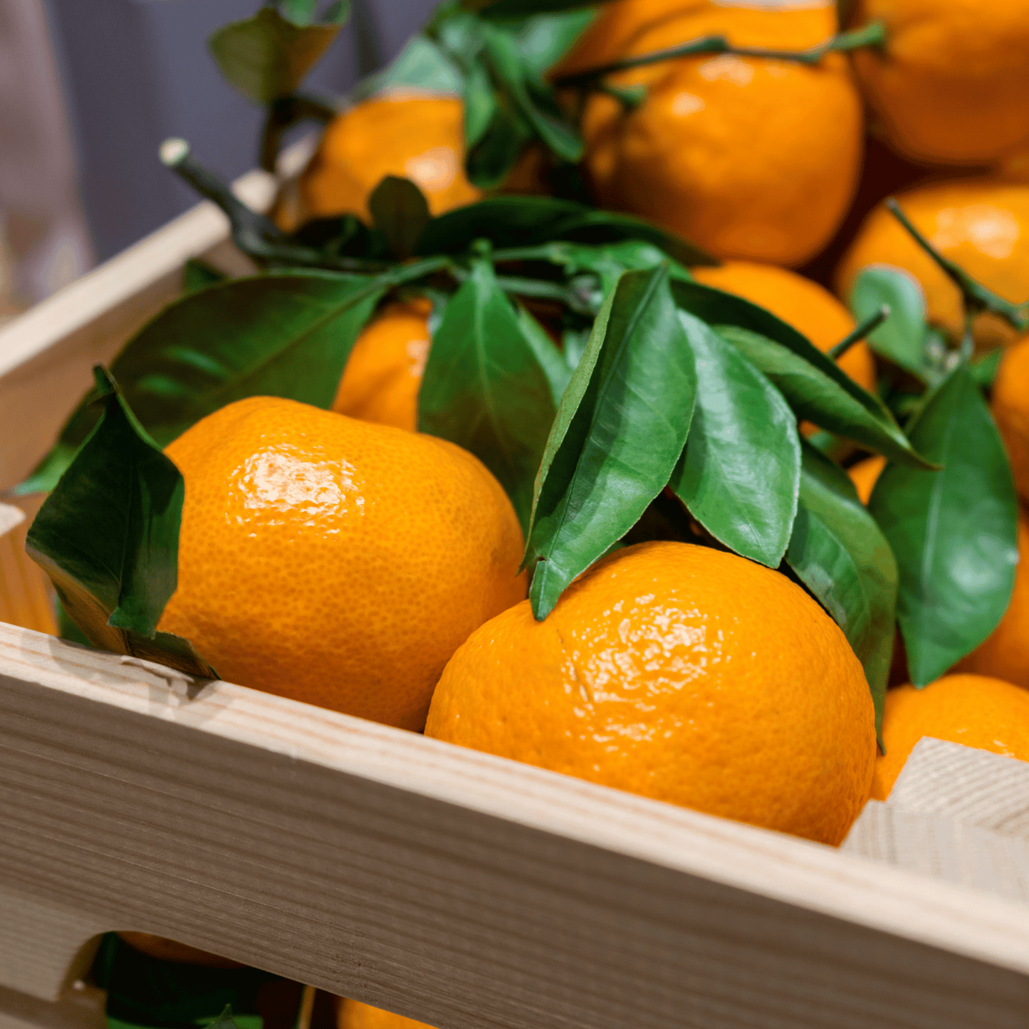 Export Quality Kinnow | Mandarin