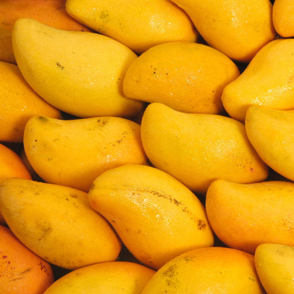 Export Quality Mango | Free Delivery