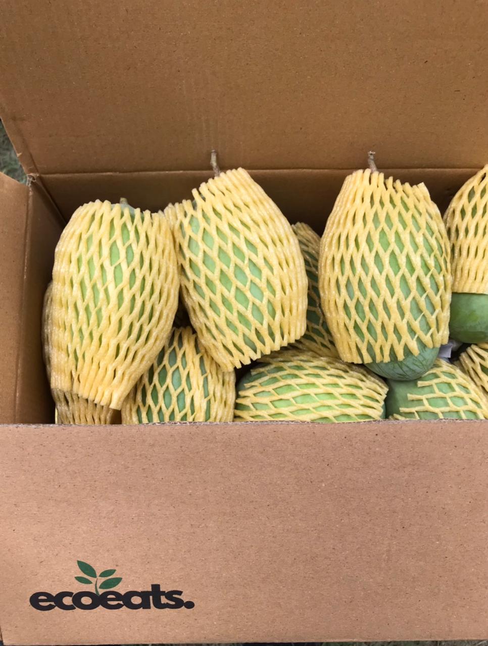 Export Quality Mango | Free Delivery